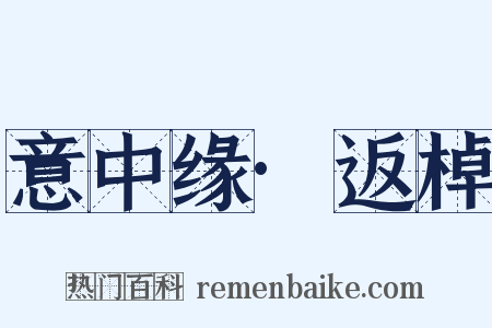 意中缘·返棹是什么意思的图片